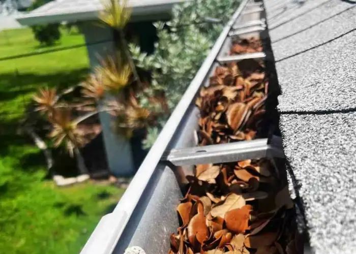 Gutter Cleaning Fountain Hill home page