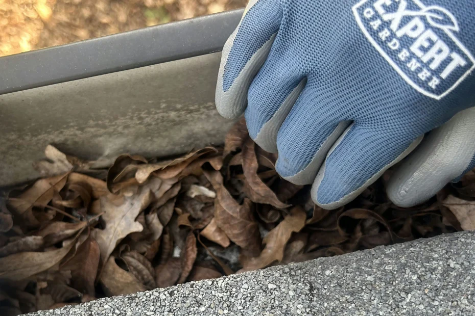 Fountain Hill Gutter Cleaning