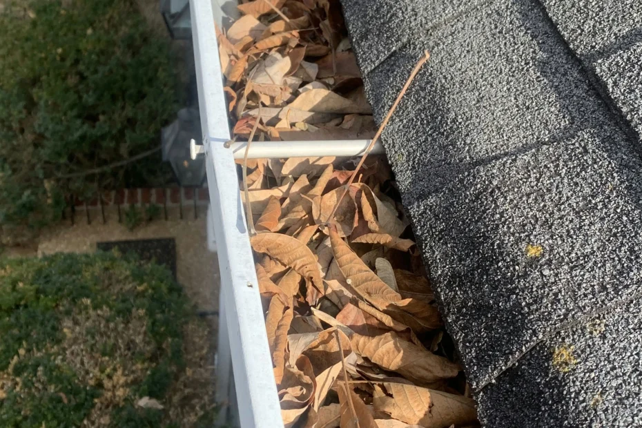 Fountain Hill Gutter Cleaning